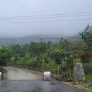 참전복로(보전항) Daum카페