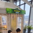 삼백로 | 용인 아이와 가볼만한 곳 용인곤충박물관 용인곤충테마파크 내돈내산 후기