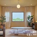 (주)삼성카정비 | [제주] 서귀포 감성숙소 무릉이가 버터동 찐투숙후기 수영장 독채펜션 추천