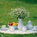 빛 살 -울림 이미지