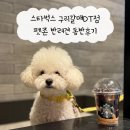 펫라운지(PET LOUNGE) | 스타벅스 구리갈매DT점 반려견 동반 펫존 후기
