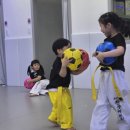 용인대 정무 태권도장 이미지