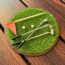 초원골프 이미지