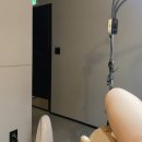 래쉬티비 | 임산부 브라질리언 왁싱 추천, 모담왁싱&amp;래쉬 (임산부 왁싱 전문 코디네이터 인증 기관)