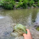 고당민박 이미지