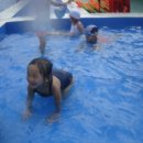 죠이랜드 이미지