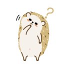 오소옥전가든 이미지