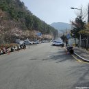 신선천 이미지