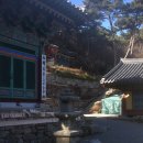 흥주사 | 사찰의 향기, 900년 은행나무가 지키는 고즈넉한 쉼터, 백화산 '흥주사'