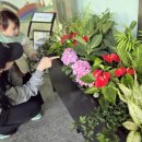 성북구청 이미지