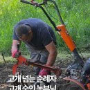 트라바 | 산티아고 순례길 후기 비야프랑카 델 비에르소(Villafranca del Bierzo)에서 오세브레이로(O Cebreiro)까지