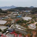 팔봉면 | 갯벌과 바다 충난 서산 팔봉면 팔봉갯벌체험야영장 서산캠핑장 바다수영장 갯벌체험