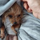 한일동물병원 이미지