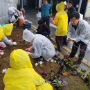 평택항 국제여객터미널 이미지