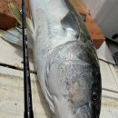 울진왕돌초 이미지