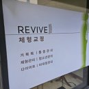 리바이브 체형교정