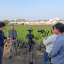 김성훈농장 이미지