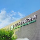 더 샵 동물메디컬센터 네이버블로그