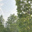 초원사우나 앞 이미지