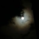 아마도특별한 이미지