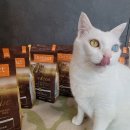 한국네이처스버라이어티(주) 이미지