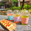 수지초등학교 이미지