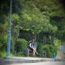 소라민박 이미지