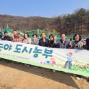효성2동 더코리아