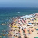 경포의휴일 이미지