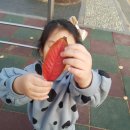 오라초등학교 병설유치원 이미지