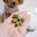 아임마인드 이미지