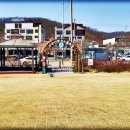 반월-4 Daum카페