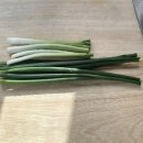 카페 펀치즈 이미지