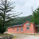 단양죽령사과 이미지