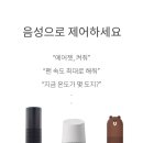 브런트 이미지