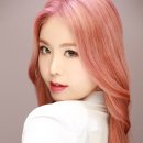 세진포토