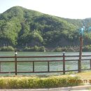 강물따라 50km 도보여행 (청평땜상류-양수리 -팔당땜 팔당대교-검단산밑 에니메이션학교) 이미지