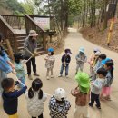 숲생태유치원 이미지