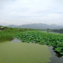 소요대 Daum카페