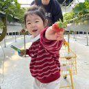 세종농장 | 세종 근교 아이랑 가볼 만한 곳 논산 딸기농장 ‘또로롱딸기’