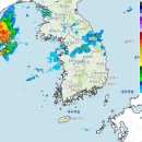 ♧2020년 8월 4일 신문을 통해 알게 된 것 들 이미지