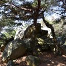 비봉산 정상부 이미지