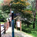 조령산자연휴양림 이미지