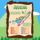 국립칠곡숲체원 후기 프로그램 숙박 체험 가족캠핑 산림청 탄소중립 대구 근교 아이들과 가기좋은곳...