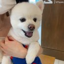 도란도란동물병원 이미지