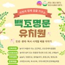 백조명문 이미지