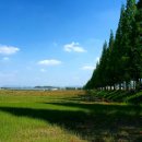 죽동마을 이미지