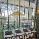 광교호수공원로 이미지