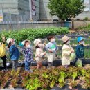 샛별농장 이미지