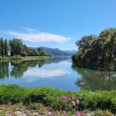 자라섬남도1(강변) 이미지